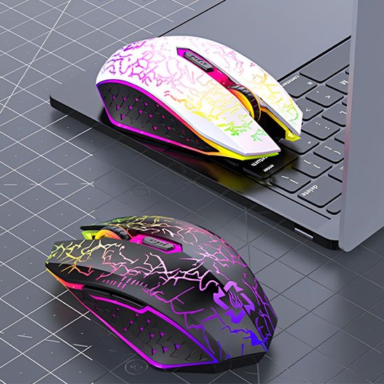 Souris sans fil