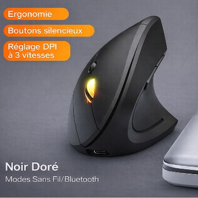 souris verticale ergonomique noir